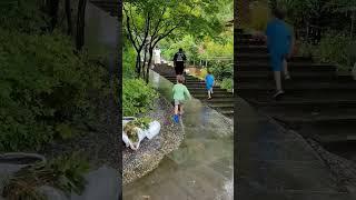 #타샤의정원251#가평계곡카페 #서울근교계곡카페 #가평가볼만한곳