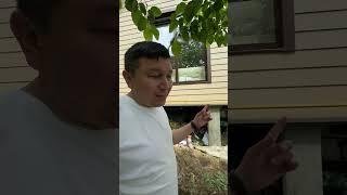 1 часть обзор каркасного дома #стройка #каркасныйдом