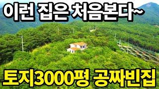 토지3000평+공짜 빈집~ 몸만오세요! 대폭락속 완벽 산속 빈집 등장!  상상을 초월하는 초대형토지~ 나무만 팔아도 이득이다~ 꿈같은 전원주택 땅땅정보통