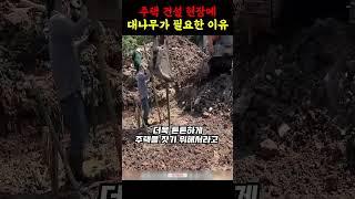 신축 주택 건설 현장에 대나무가 필요한 진짜 이유 ㄷㄷ