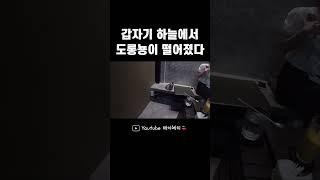 엄마 머리 위로 떨어진 도롱뇽 #shorts