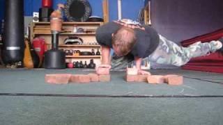 Tallahassee Shaolin Kung fu - Floating dragon builds a wall