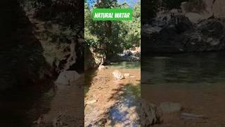 Natural beauty ️  water#shorts#video #food #nature