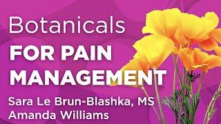 Pain Management with Botanicals | WholisticMatters Podcast | Medicinal Herbs