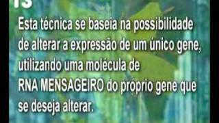 Trabalho de Biologia - Aquecimento Global - PARTE 2/2