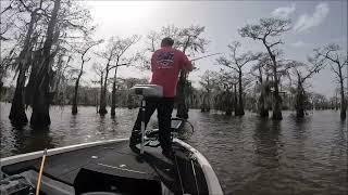 Caddo Lake 25 lb Bag