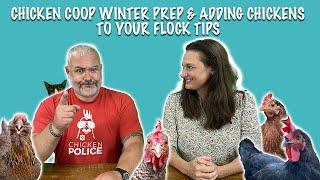 Video Chicken Live: Winter Prep & Adding Chickens to Your Flock Tips