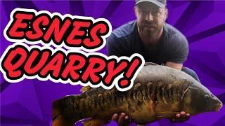 IS THIS PARADISE?  | ESNES QUARRY! 24HR SESSION | CARP FISHING 2023