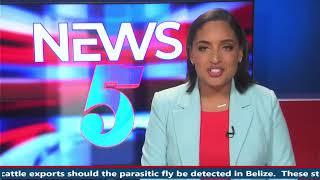 News 5 Live