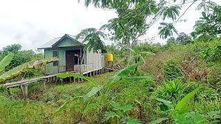 KOK BISA? SEPI PADAHAL BANYAK RUMAH TRASMIGRASI SEPUNGGUR KALTARA