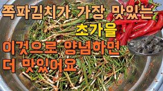 일년중 쪽파김치가 가장 맛있는 초가을 색다른 양념으로 맛이두배