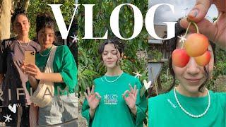 VLOG  Պաշտպանեցի դիպլոմս | RAU “23 | Taro latte | life lately