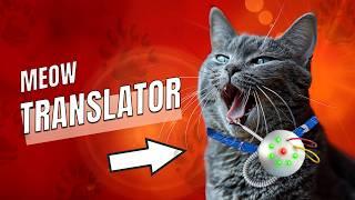 AI Gadgets Your Cat Will Love | Revolutionary Cat Tech