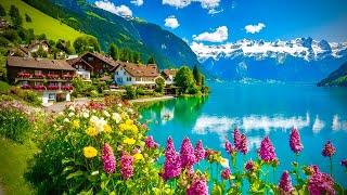 Brienz , Most Beautiful Village In SwitzerlandTop Travel Destinations _ LAKE BRIENZ