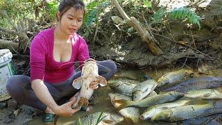 Harvesting a lots of fish from wild lakes, Goes to sell fish at village markets