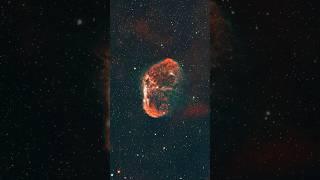 The crescent Nebula from my backyard #crescentnebula #telescope #space #shorts