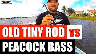 Cheap old TINY ROD VS Peacock Bass