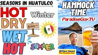 Winter to Summer Transition in Huatulco, Oaxaca Mexico  - Bugs - Best Time To Visit - Paradise Guy