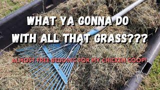 GRASS??? | Using cut grass for a cheap bedding in my chicken coop!