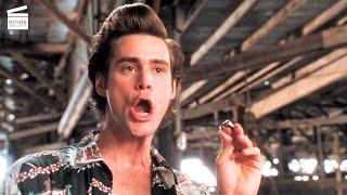 Ace Ventura: Pet Detective: The truth is revealed