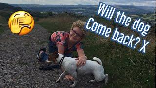 Llanbradach fawr secure walking field review. Dog friendly walks