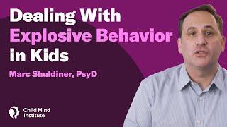 Dealing With Explosive Behavior in Kids | Child Mind Institute