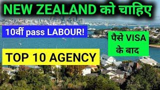 NZ Top 10 Agency for Indians | Public Engine