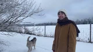 a day in the life of Ayka I escape to the countryside |  Ay diaries in Estonia 1