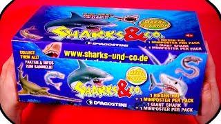 SHARKS and CO Figures Maxxi Edition Ƹ̴Ӂ̴Ʒ FULL BOX DeAgostini BLIND BAG UNBOXING