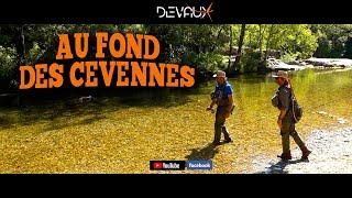 AU FOND DES CEVENNES | Mouches Devaux