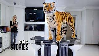 World's Most Dangerous Pets | Living With Supersize Pets | Full Documentary | OMG Stories