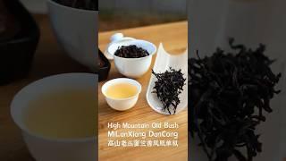 Mi Lan Xiang Feng Huang Dan Cong-Honey Orchid Aroma Phoenix Single Bush #chinesetea #oolongtea