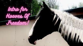 Intro for Hooves Of Freedom!!! (Link to Her Channel in Description!)