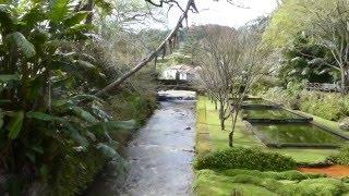 Terra Nostra Garden - Furnas, Portugal - Azores