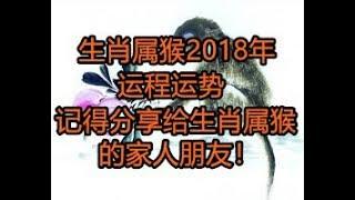 生肖属猴2018年运程运势！