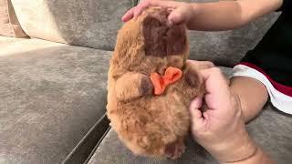 Ditucu Cute Capybara Plush with Happy Birthday Hat Review