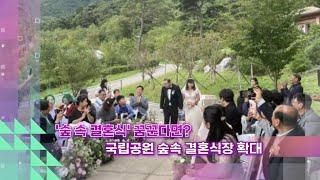 [슬기로운생활뉴스] 이색 결혼식 꿈꾼다면?…'숲 속 결혼식장' 확대 外 / 연합뉴스TV (YonhapnewsTV)