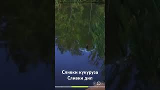 Оз. Медное трофей карасекарп #russianfishing4