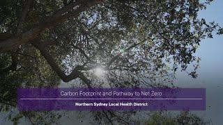 Carbon Footprint and Pathway to Net Zero