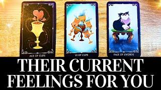 PICK A CARD Their CURRENT FEELINGS For YOU!  They want you to know THIS!  Love Tarot Reading