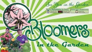 Bloomers in the Garden: 2.18.23 | Interview with Seth Pearsoll | PHC Philadelphia Flower Show