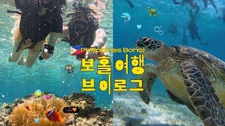 보홀여행 브이로그 (ep02) : 발리카삭  인생샷은 호핑투어에서..! 내돈내산 한바다호핑, 노스젠빌라 맹그로브숲, 보홀 맛집 우베코