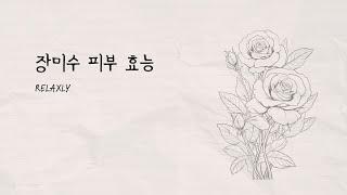 장미수의 피부 효능효과 #로즈워터 #피부관리 #화장품성분 #건성피부