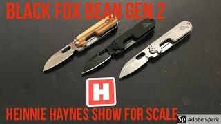 Black Fox Gen 2 Bean - Heinnie Haynes Show For scale