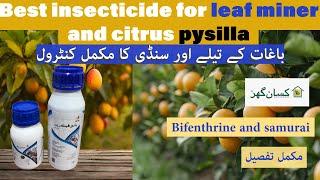 Use samurai and bifenthrine jaffer agro for Citrus Psylla and leaf miner at new leafs | Kisan Ghar