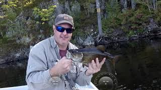 Miller Lake Nova Scotia (Bass and Trout)