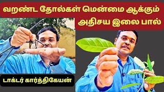 மிகவும் வறண்ட தோல்களை கூட மென்மை ஆக்கும் அதிசய எண்ணெயா இது? skin care hair care oil