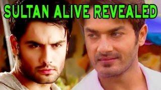 RK & Sultan's SECRET REVEALED in Madhubala Ek Ishq Ek Junoon 23rd August 2013 FULL EPISODE