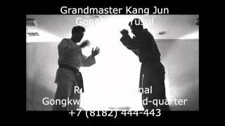 Gongkwon Yusul. Master Kang Jun