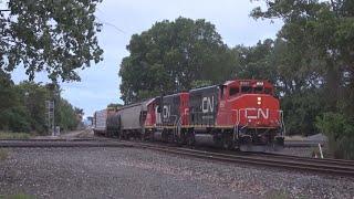 Railfanning The CN/IC Joliet Sub At Bridgeport and Brighton, Chicago, IL. 6/11/23